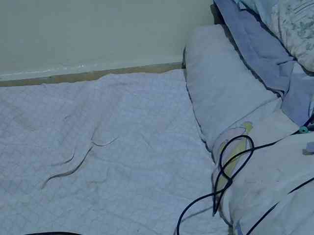 sweetelle webcam
