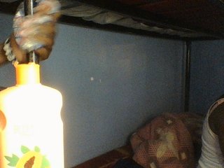 Cute-dall Porn Show