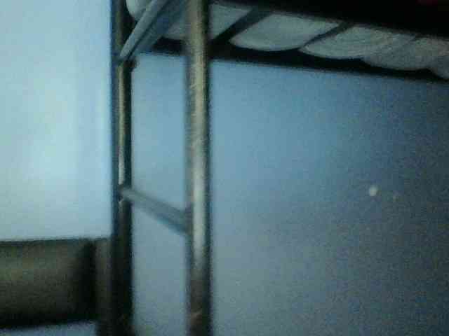Cute-dall webcam