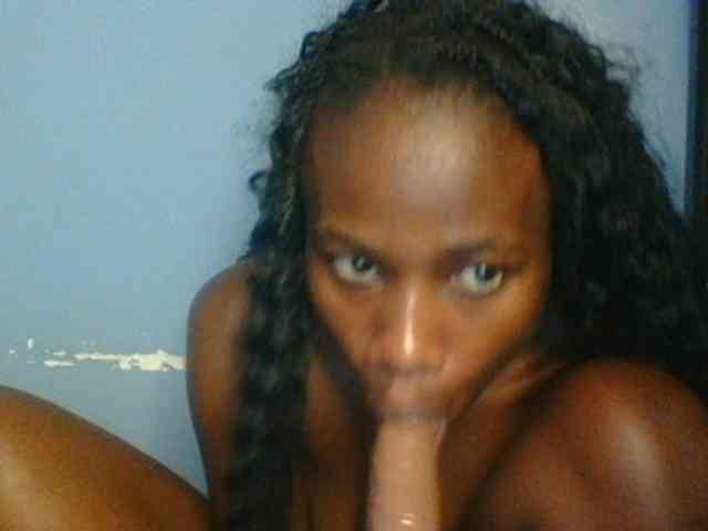 Cute-dall webcam