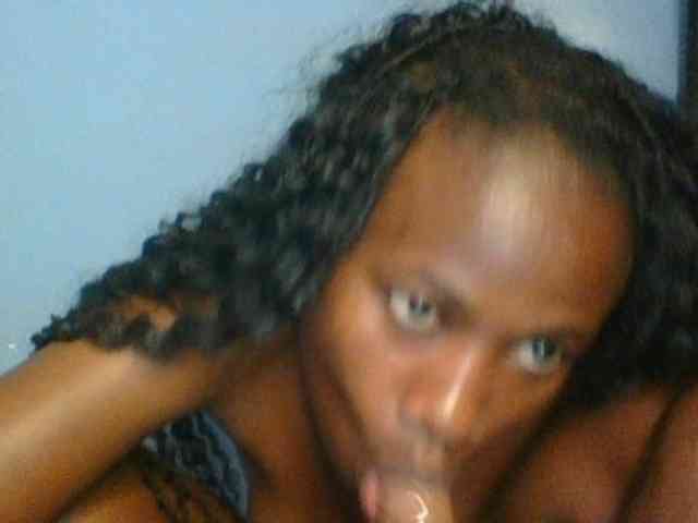 Cute-dall webcam