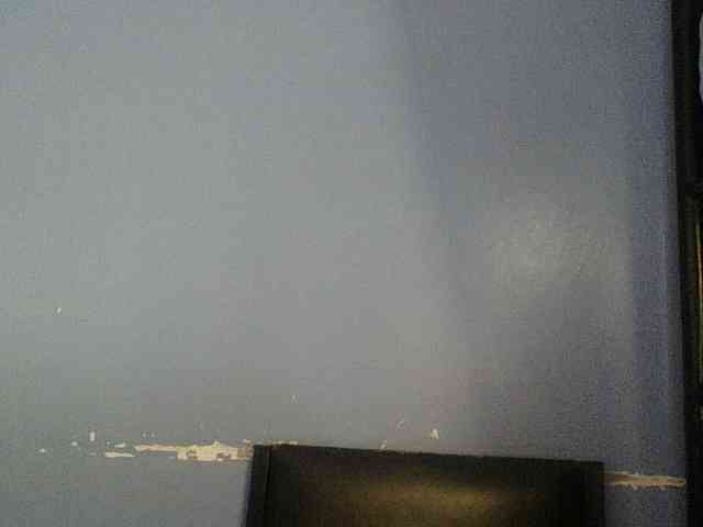 Cute-dall webcam