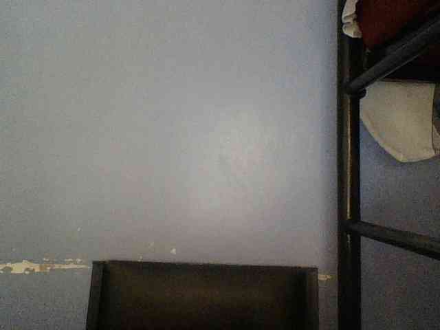 Cute-dall webcam