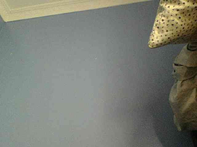 Cute-dall webcam