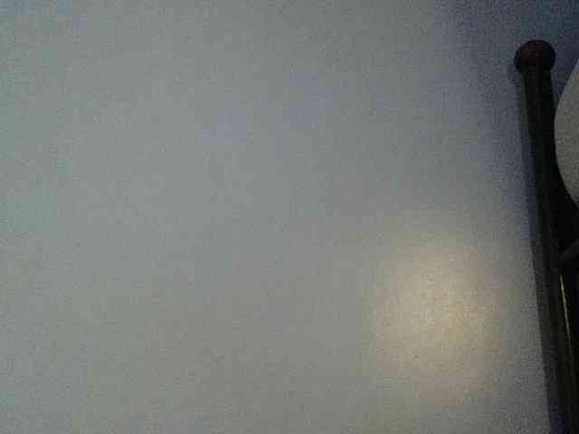 Cute-dall webcam
