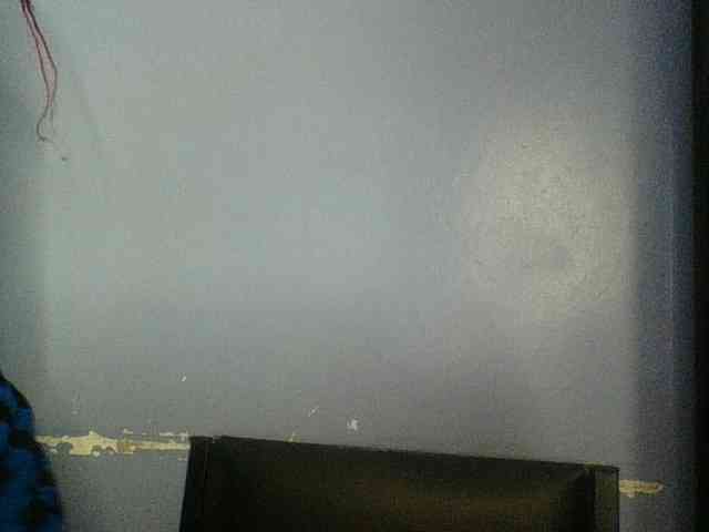 Cute-dall webcam