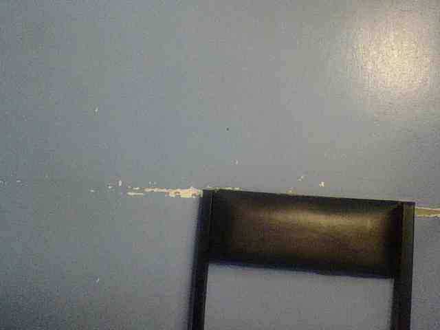 Cute-dall webcam