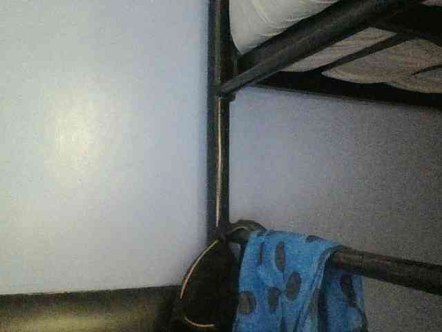 Cute-dall webcam
