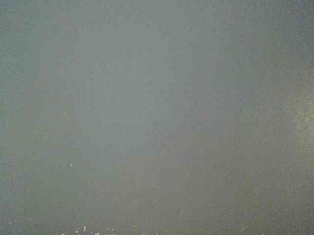 Cute-dall webcam