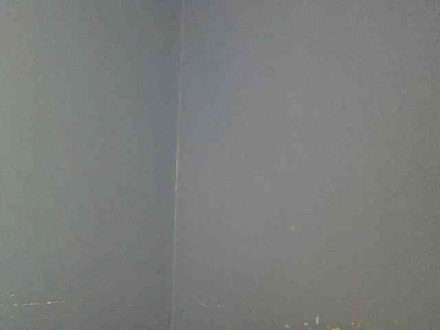Cute-dall webcam