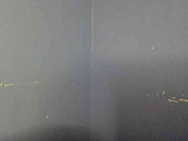 Cute-dall webcam