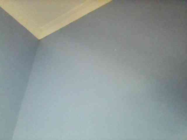 Cute-dall webcam