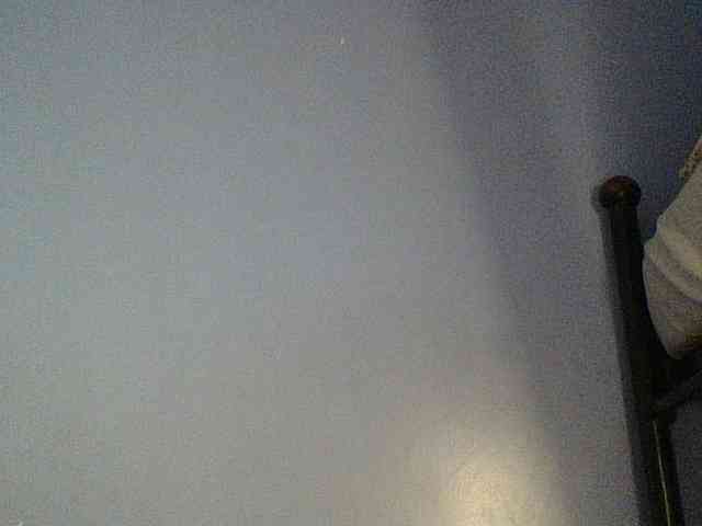 Cute-dall webcam