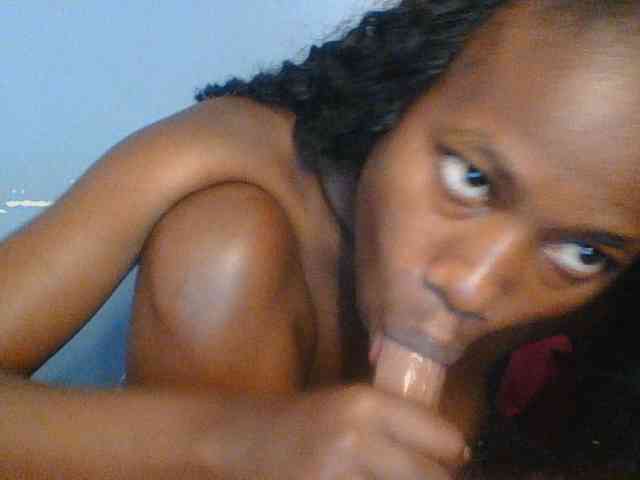 Cute-dall webcam