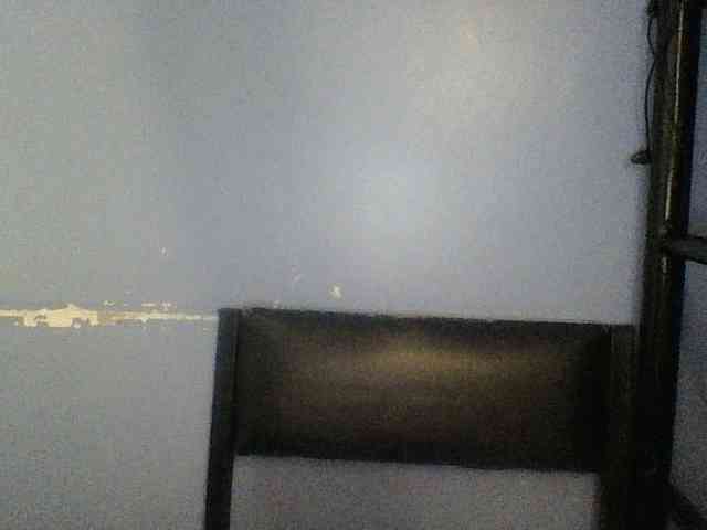 Cute-dall webcam