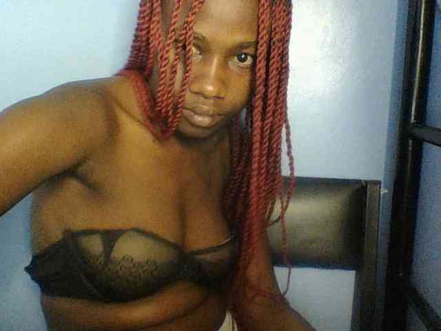 Cute-dall webcam