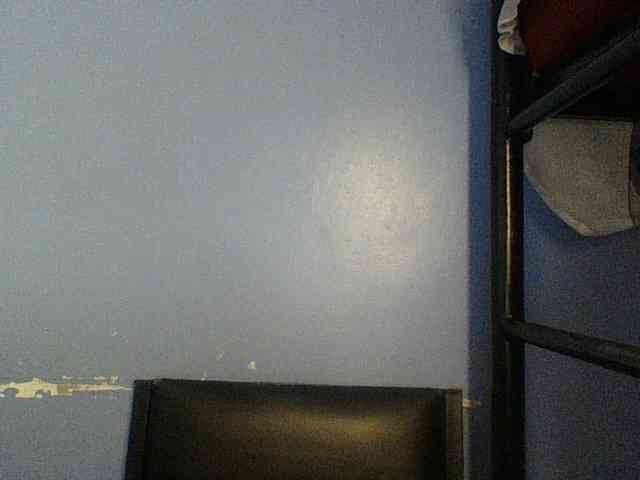 Cute-dall webcam