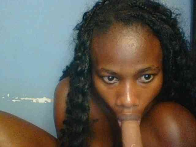 Cute-dall webcam
