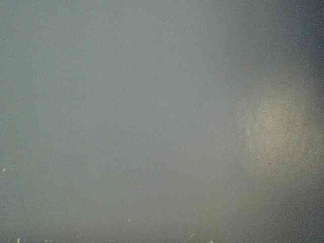 Cute-dall webcam