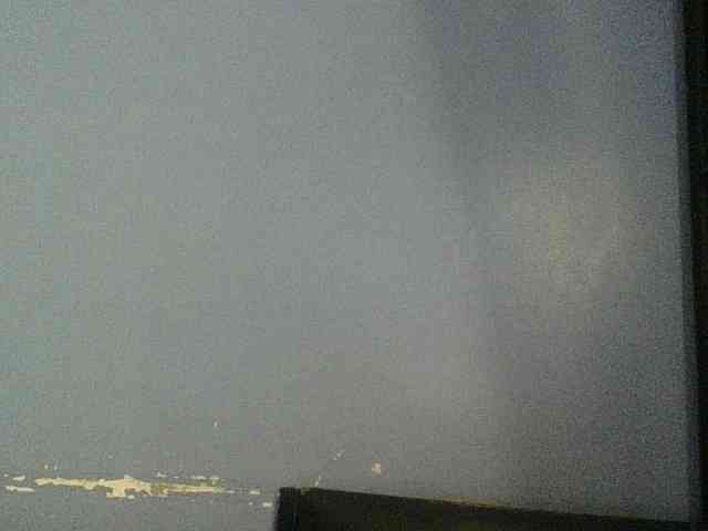 Cute-dall webcam