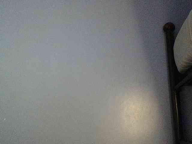 Cute-dall webcam