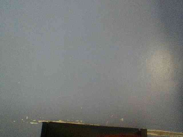 Cute-dall webcam