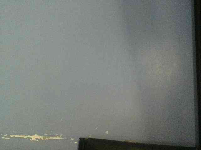 Cute-dall webcam