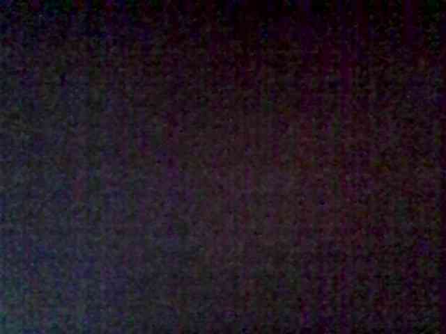 Cute-dall webcam