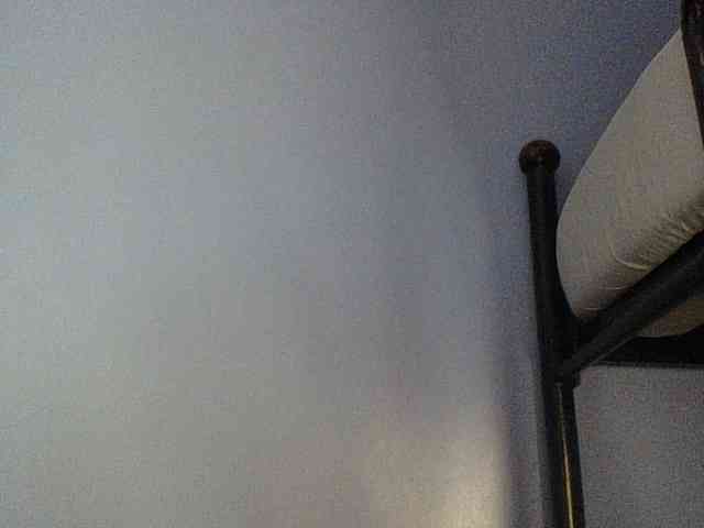 Cute-dall webcam
