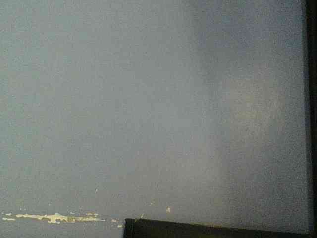 Cute-dall webcam