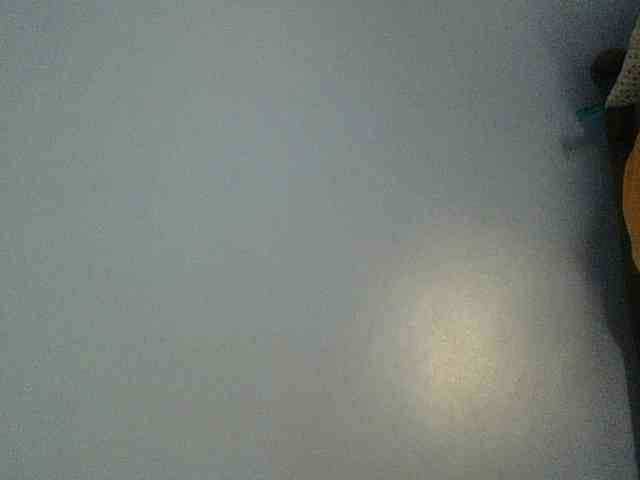Cute-dall webcam