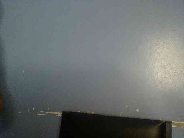 Cute-dall webcam