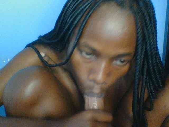 Cute-dall webcam