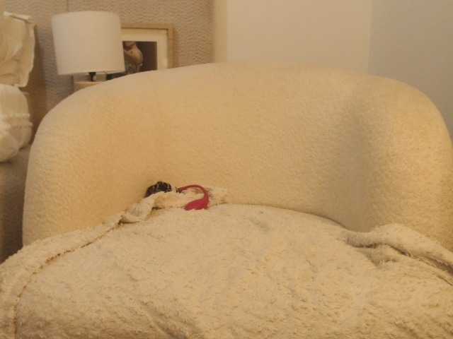 FatAss-3 live cam on BongaCams