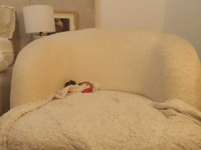 FatAss-3 live cam on BongaCams