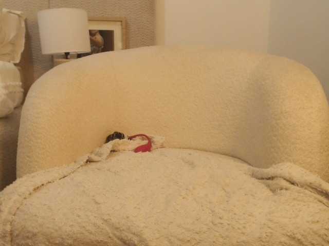 FatAss-3 live cam on BongaCams
