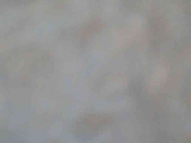 HornyZara webcam