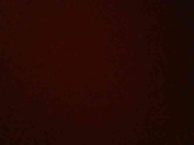 HornyZara webcam