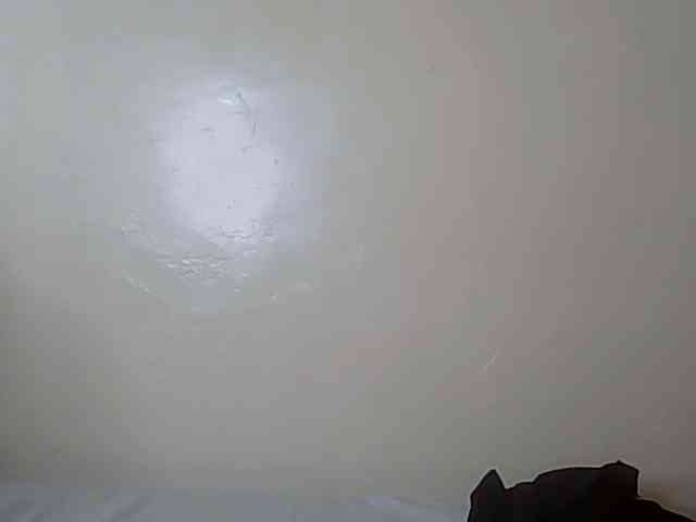 HornyZara webcam