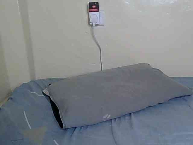 Monalisaa webcam