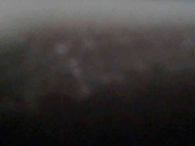 Monalisaa webcam