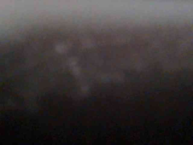 Monalisaa webcam