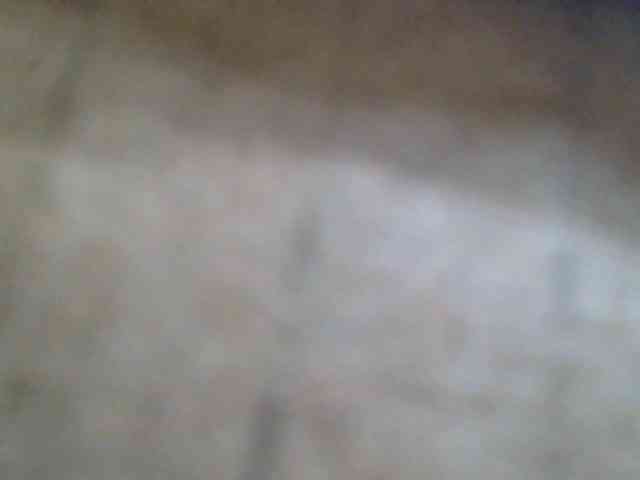 Monalisaa webcam