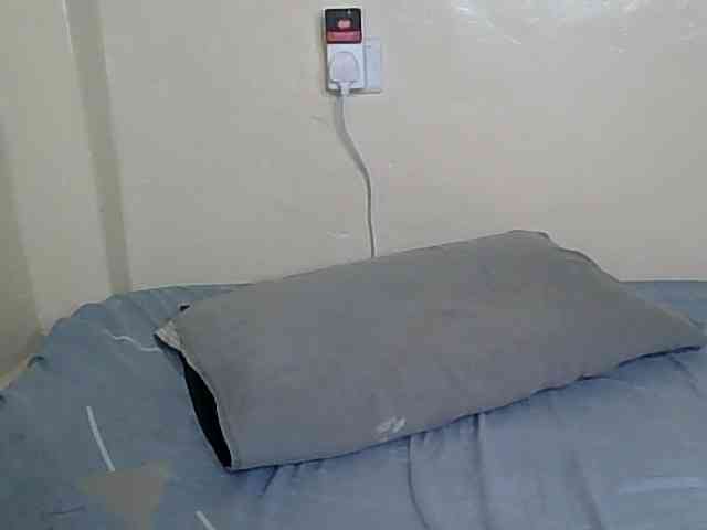 Monalisaa webcam