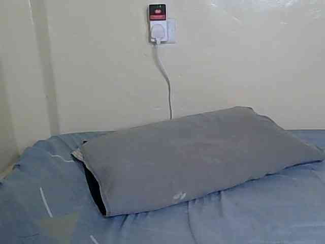 Monalisaa webcam