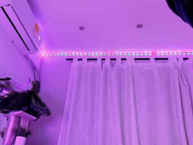 Ryu-Sam1 webcam