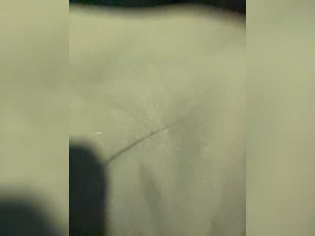 mohorex1 cam belle
