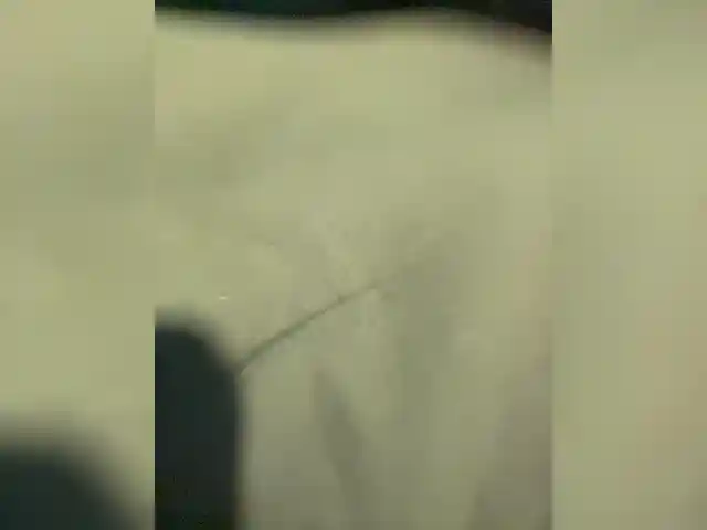 MoHoRex1