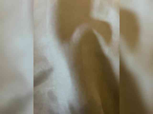 SweetyDumplings webcam