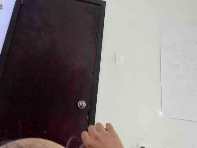 ValeandJuan webcam